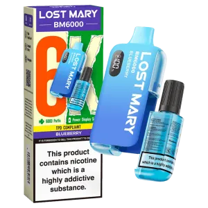 BLUEBERRY - LOST MARY BM6000 DISPOSABLE VAPE - 20MG(2%)