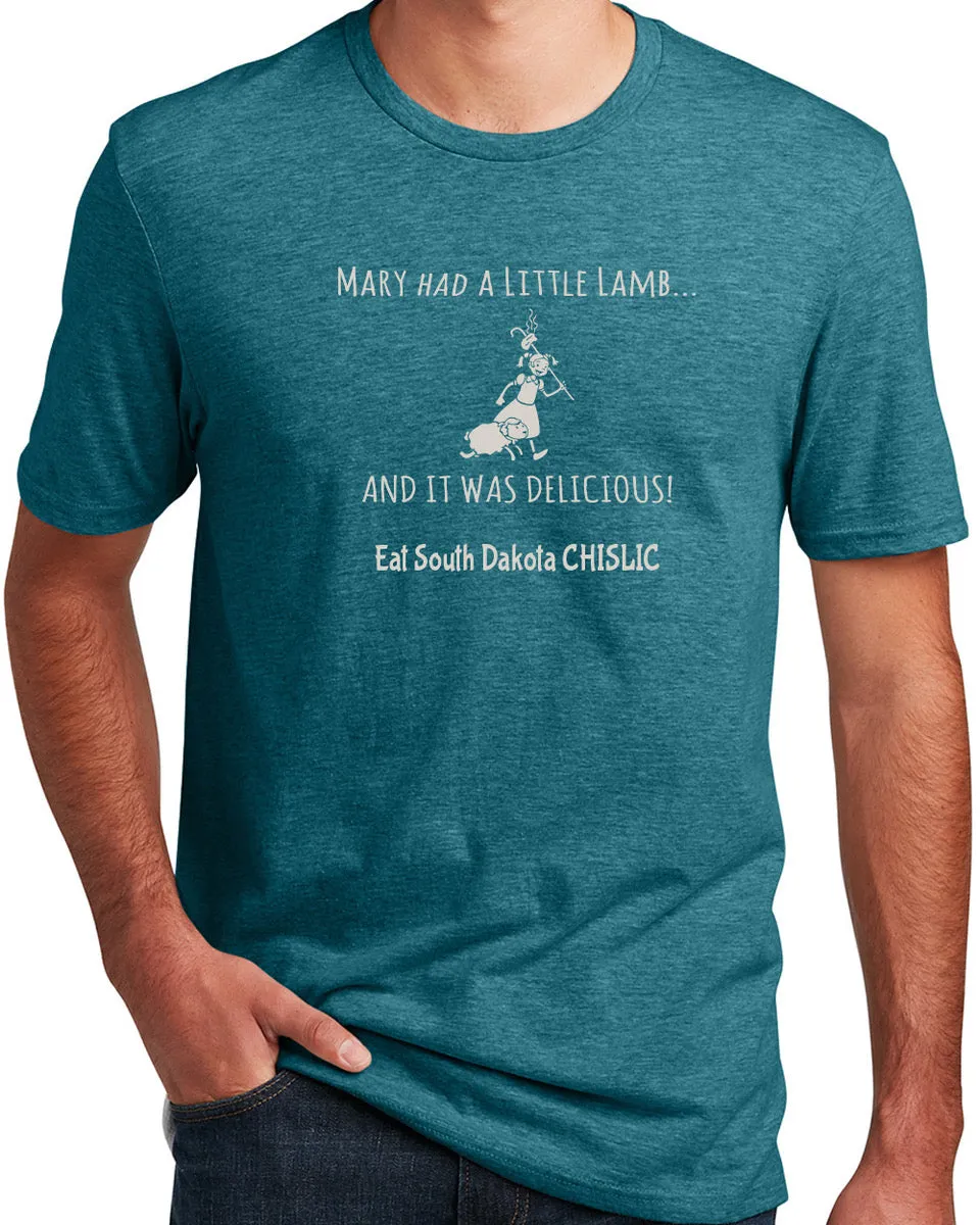 CHISLIC Mary Had a Little Lamb Short Sleeve Tee Shirt - Heather Teal