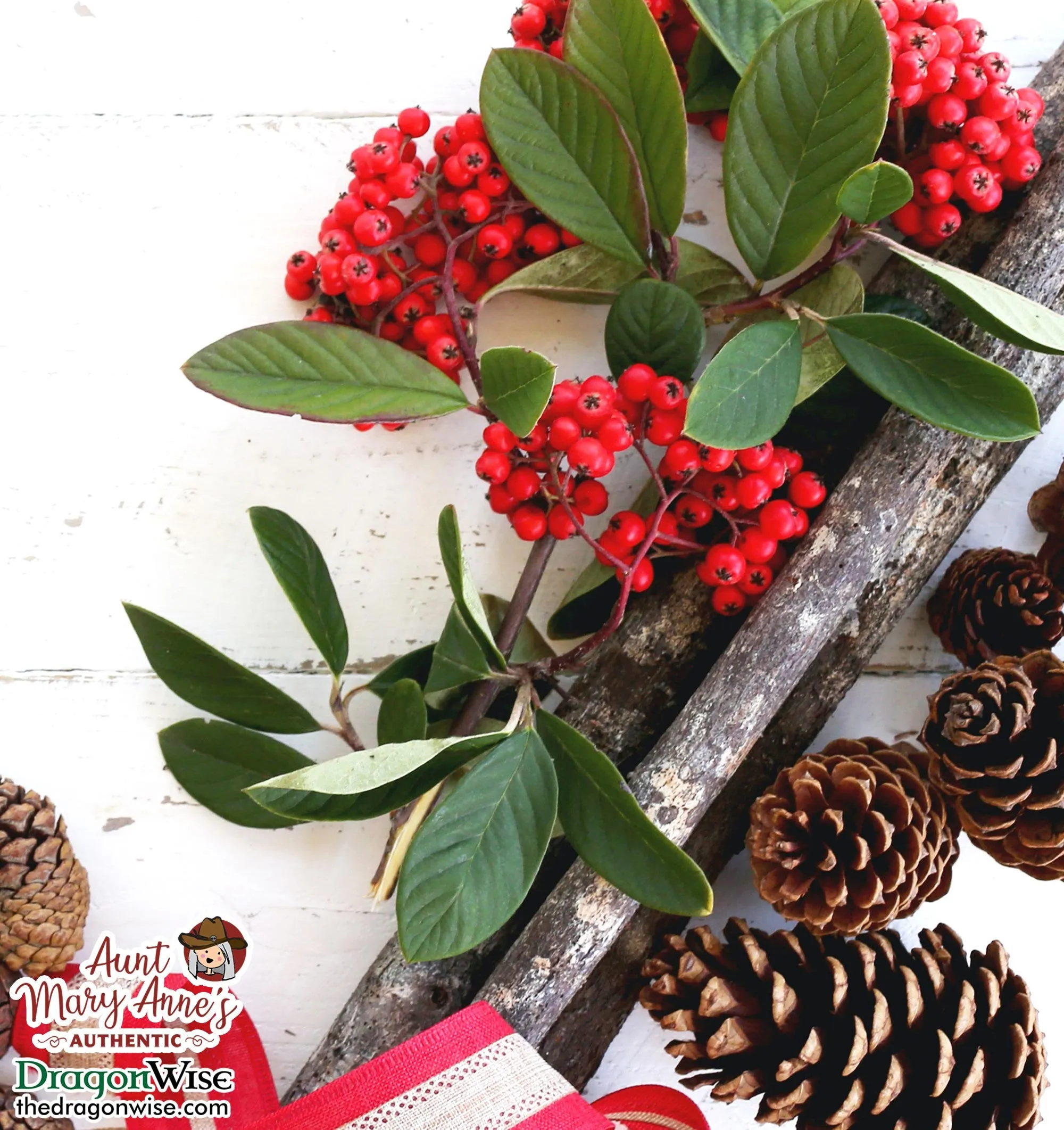 Natural Vegan Body Lotion, Holiday Cheer - Limited Edition