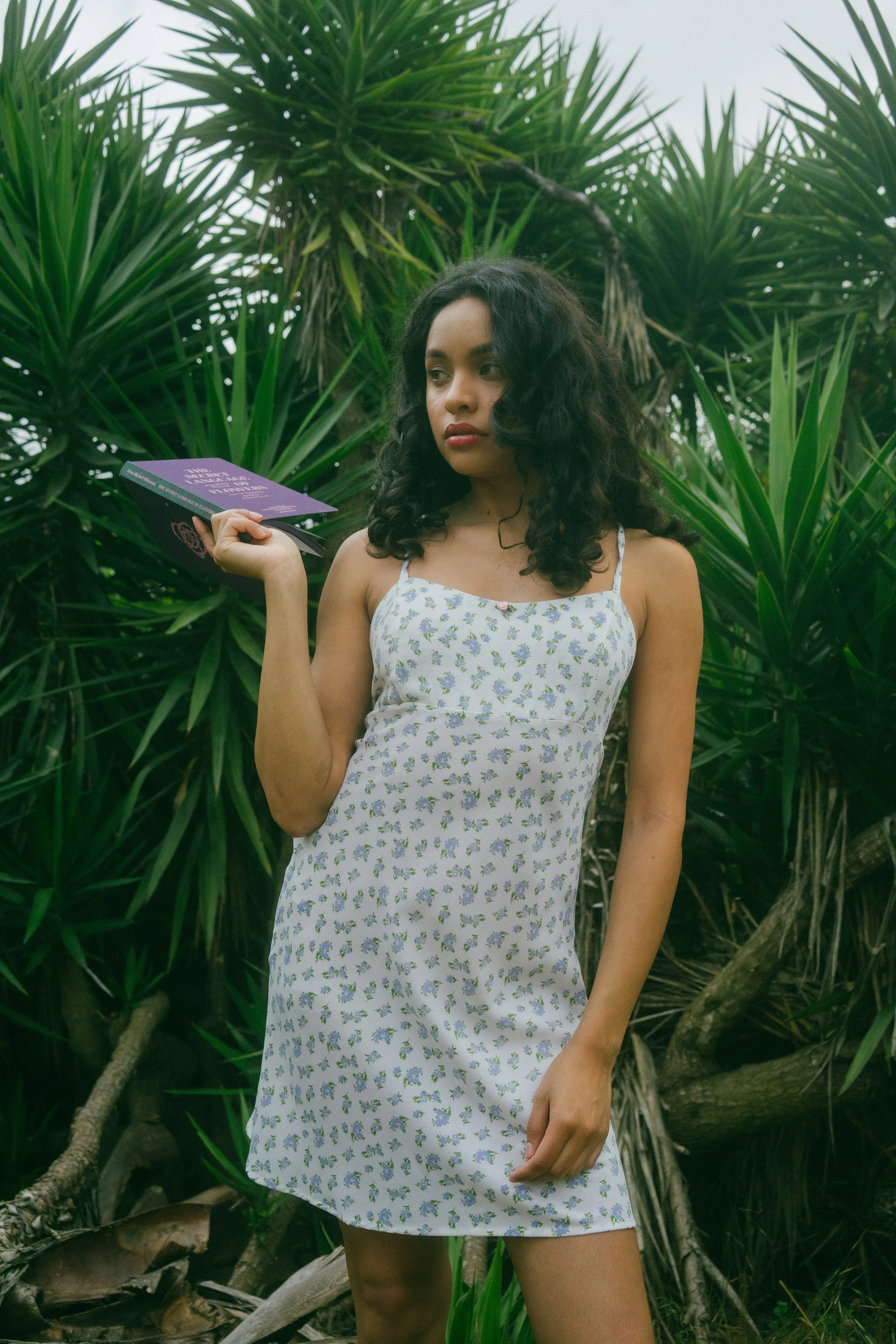 Seraphine Dress
