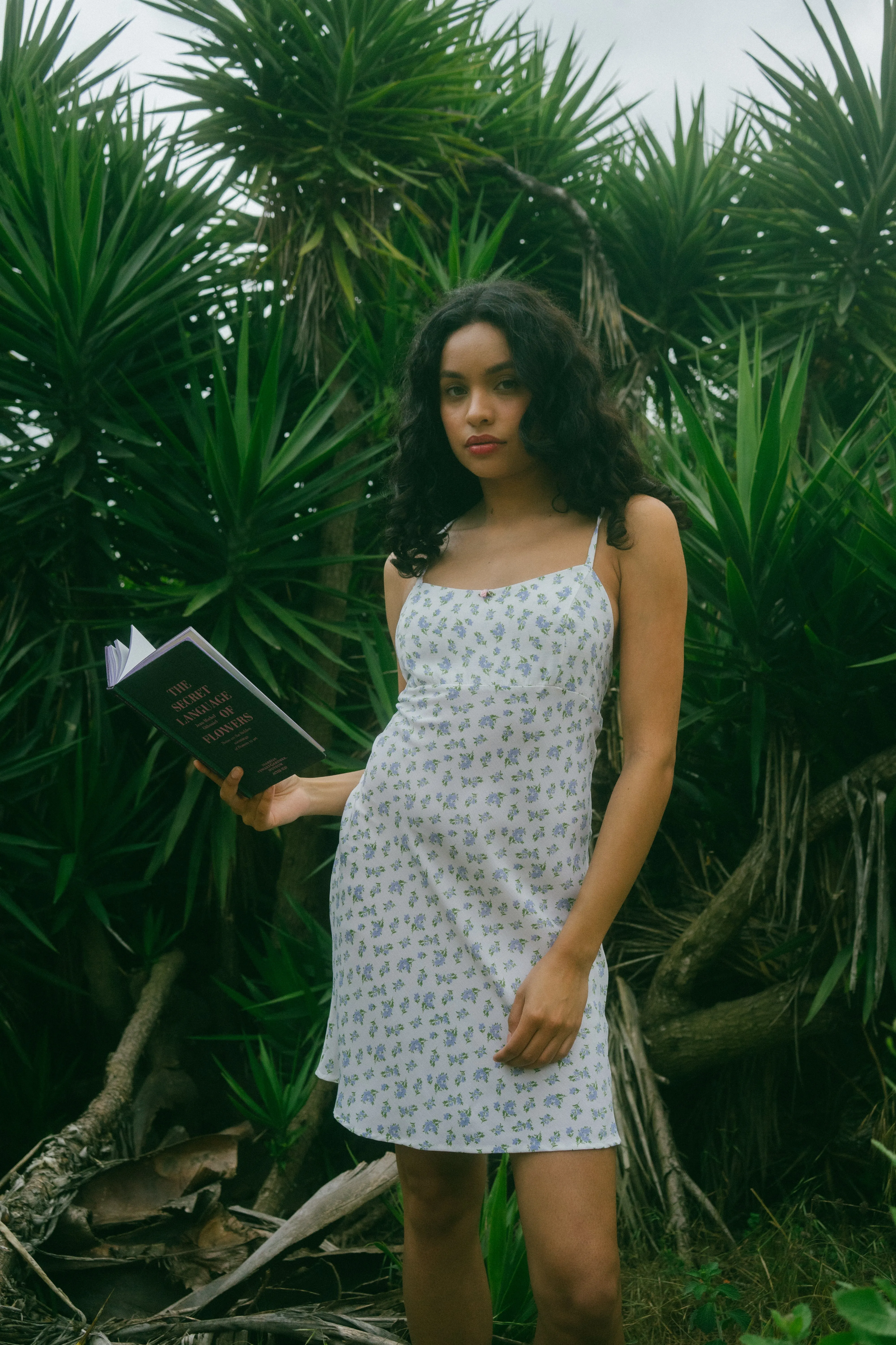 Seraphine Dress